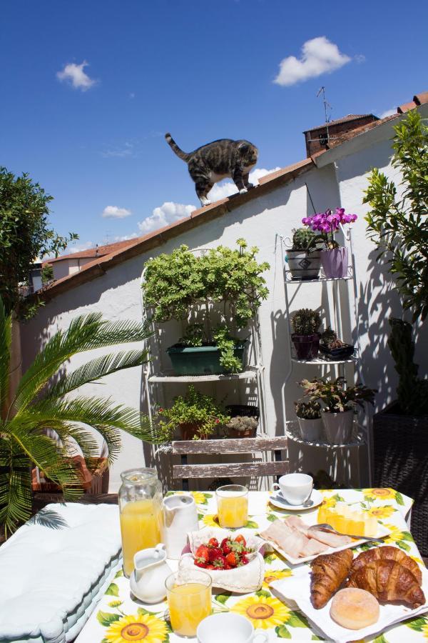 Bed and breakfast Casanova *
