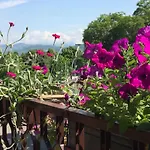 B&B Pergolesi