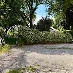 Green Leaves