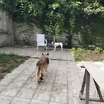Mavipagi