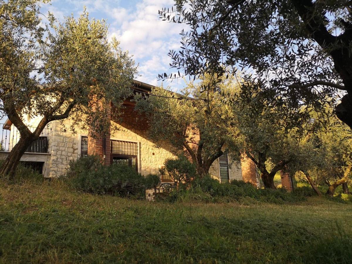 Alloggio per agriturismo Bosco Magico *