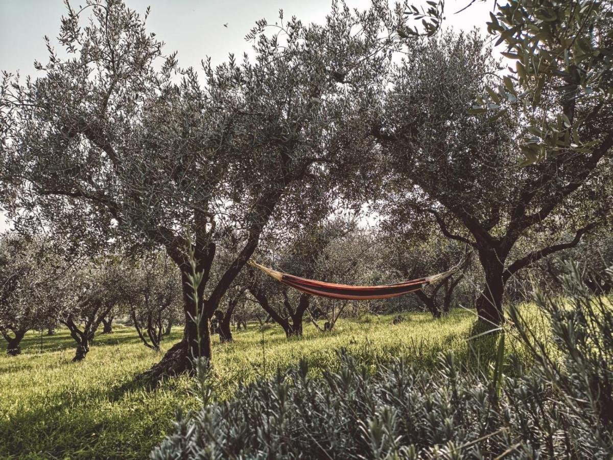 Bosco Magico * Verona