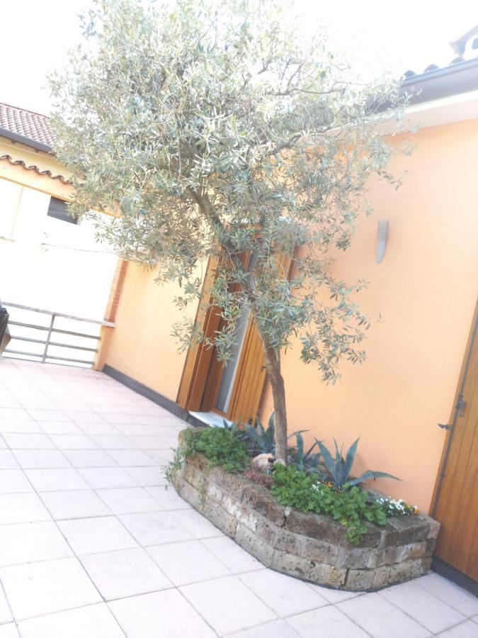 Scalzi 18 Appartamento