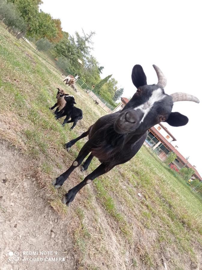Agroturismo Corte Maccini