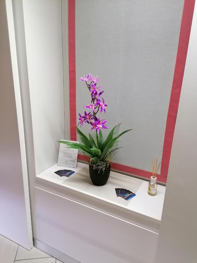 Guest house Accomodation Verona - City Centre 2*