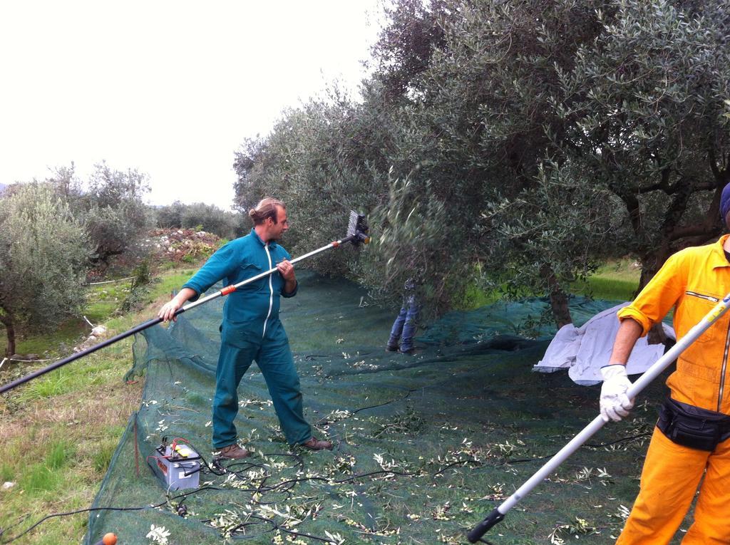 Alloggio per agriturismo Casa Rosa *