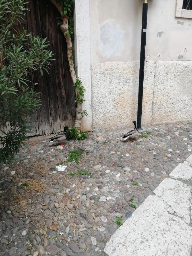 Goddess House Apartamento Verona