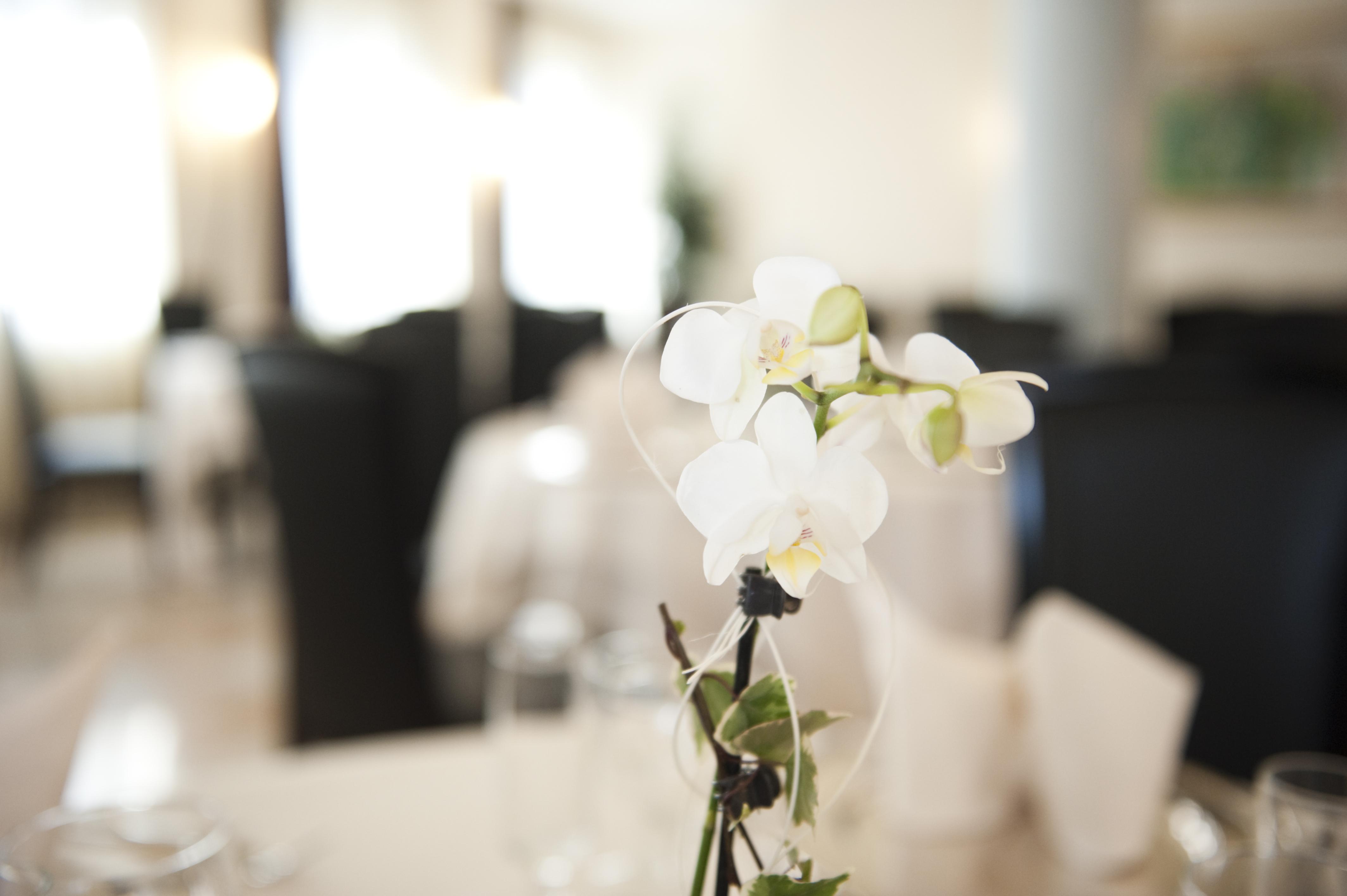 Montresor Palace Hotel