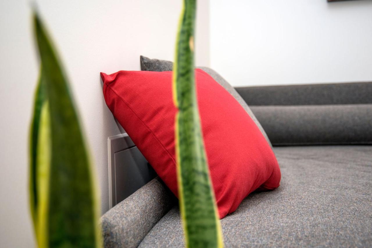 Apartamento Camelot Red - *