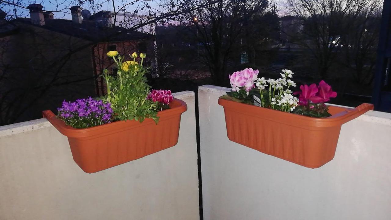 Appartement Con Due Da Letto E Free Park