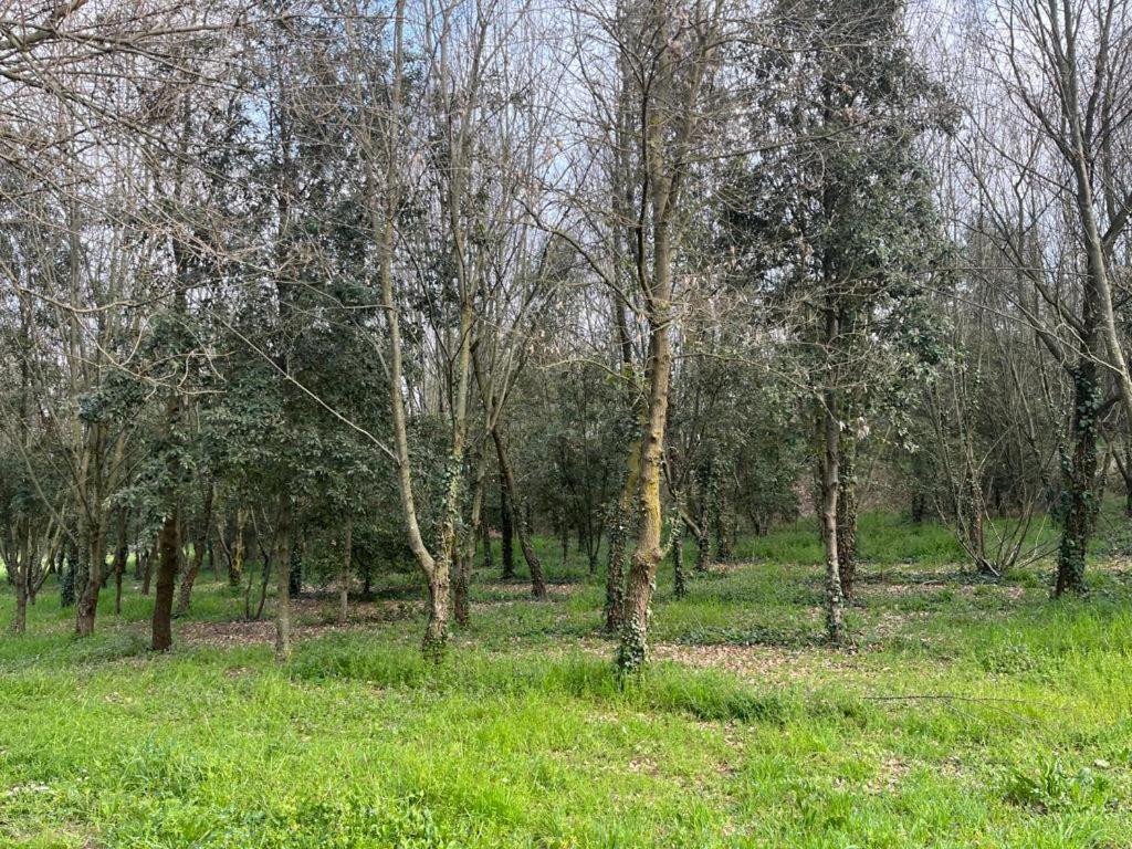 Woods Apartamento