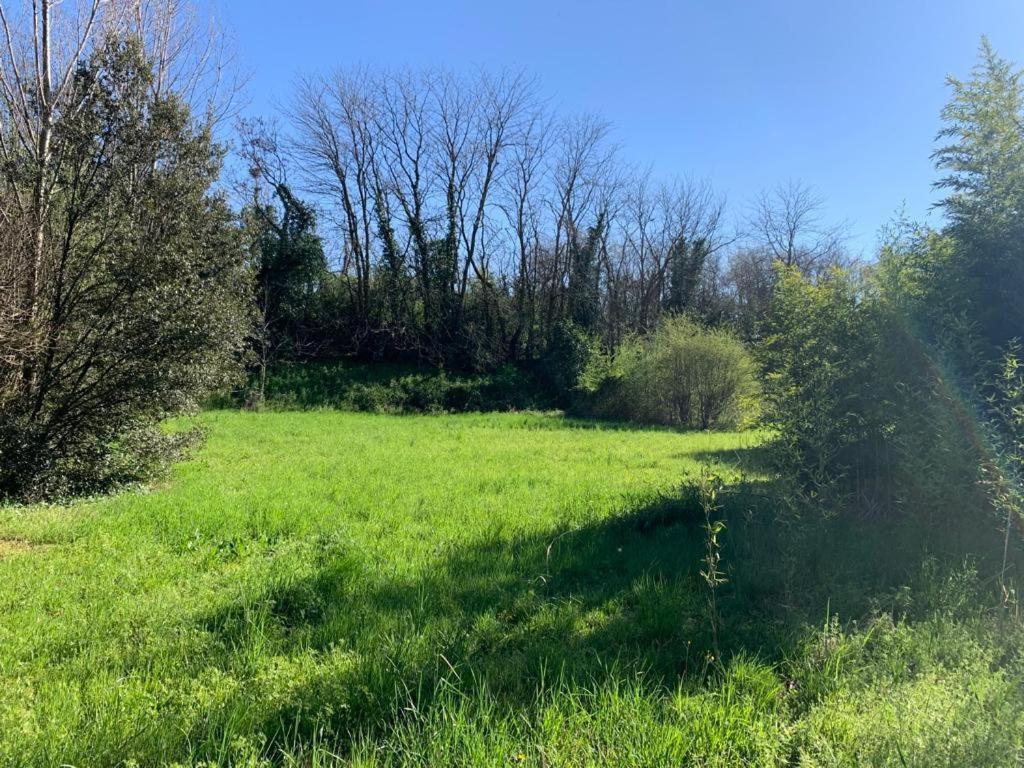Apartamento Woods Verona