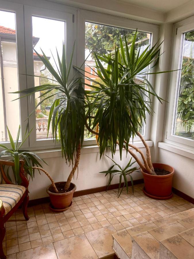 Bed & Breakfast Magnolia Verona