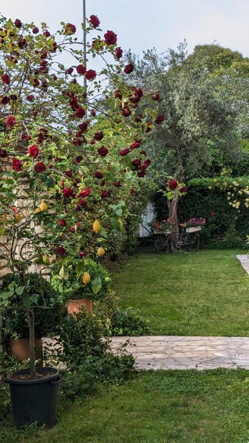 Agli Aceri Bed and breakfast