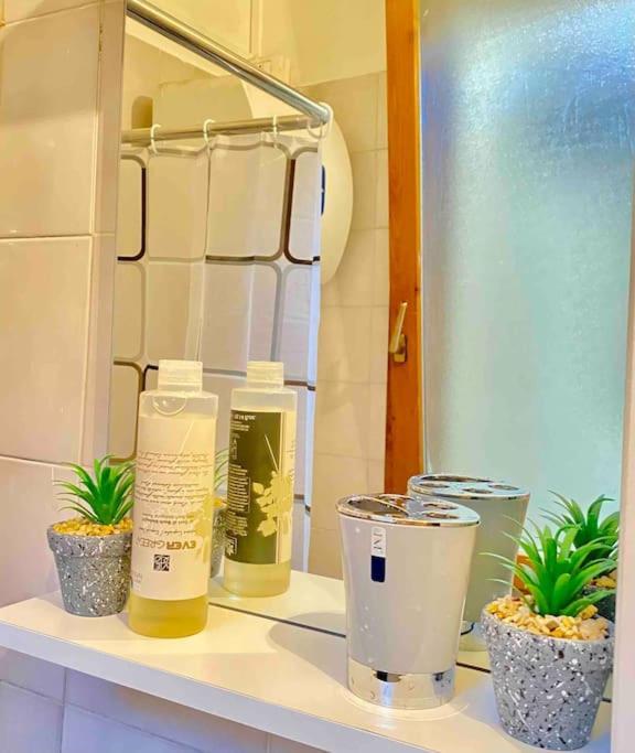 Apartment Low-cost Teatro Romano