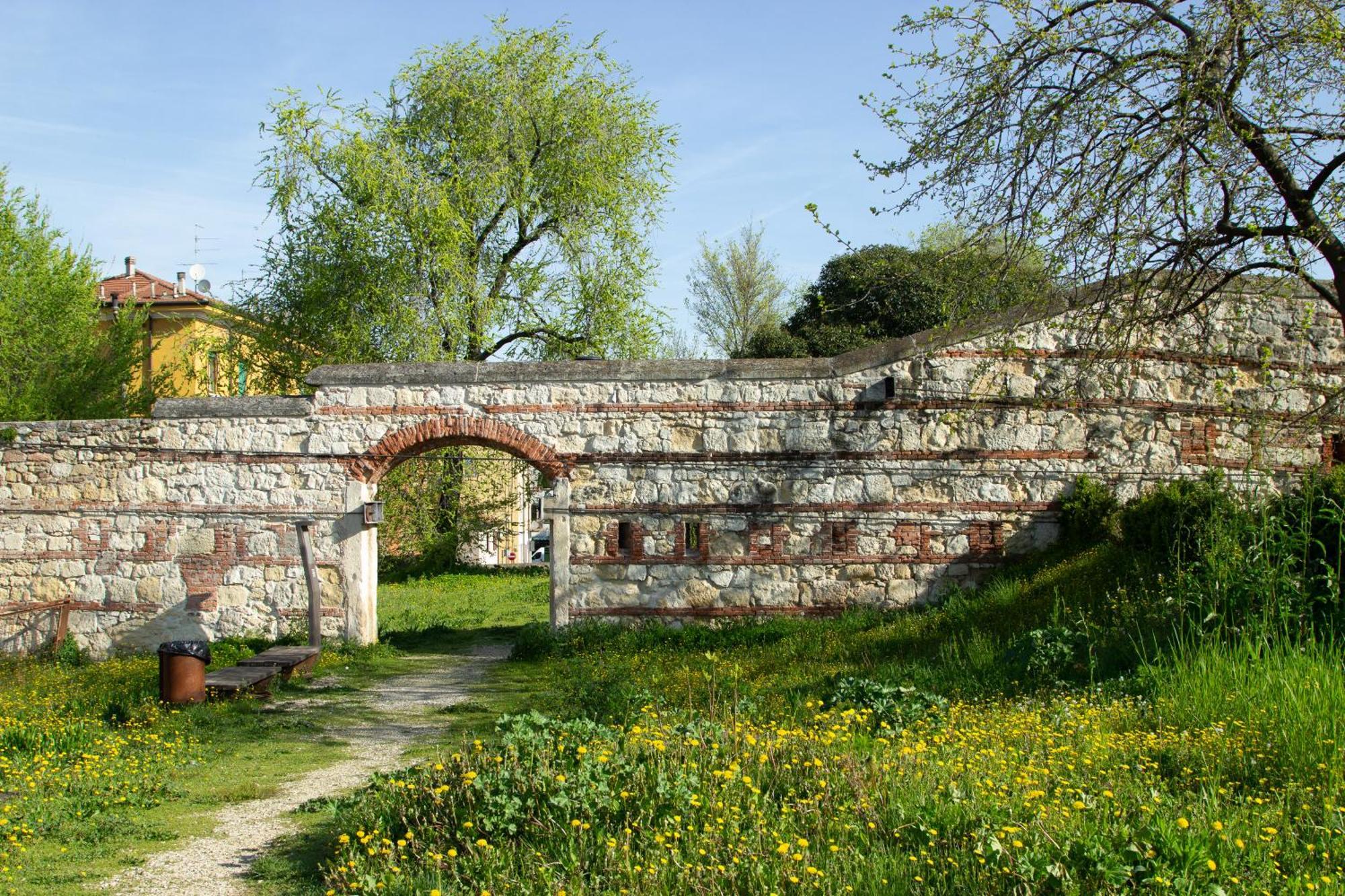 Nest Verona