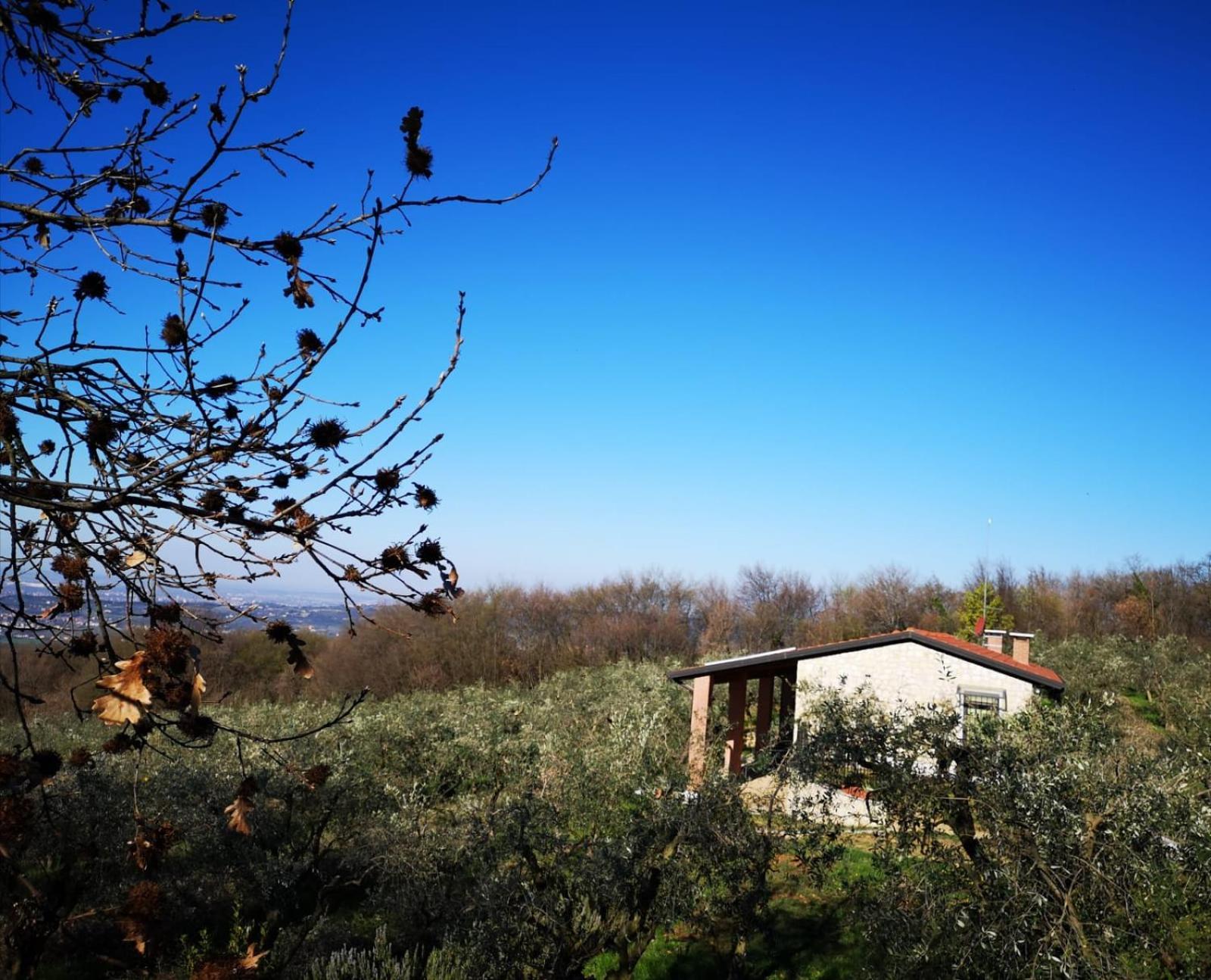 Alloggio per agriturismo Bosco Magico *
