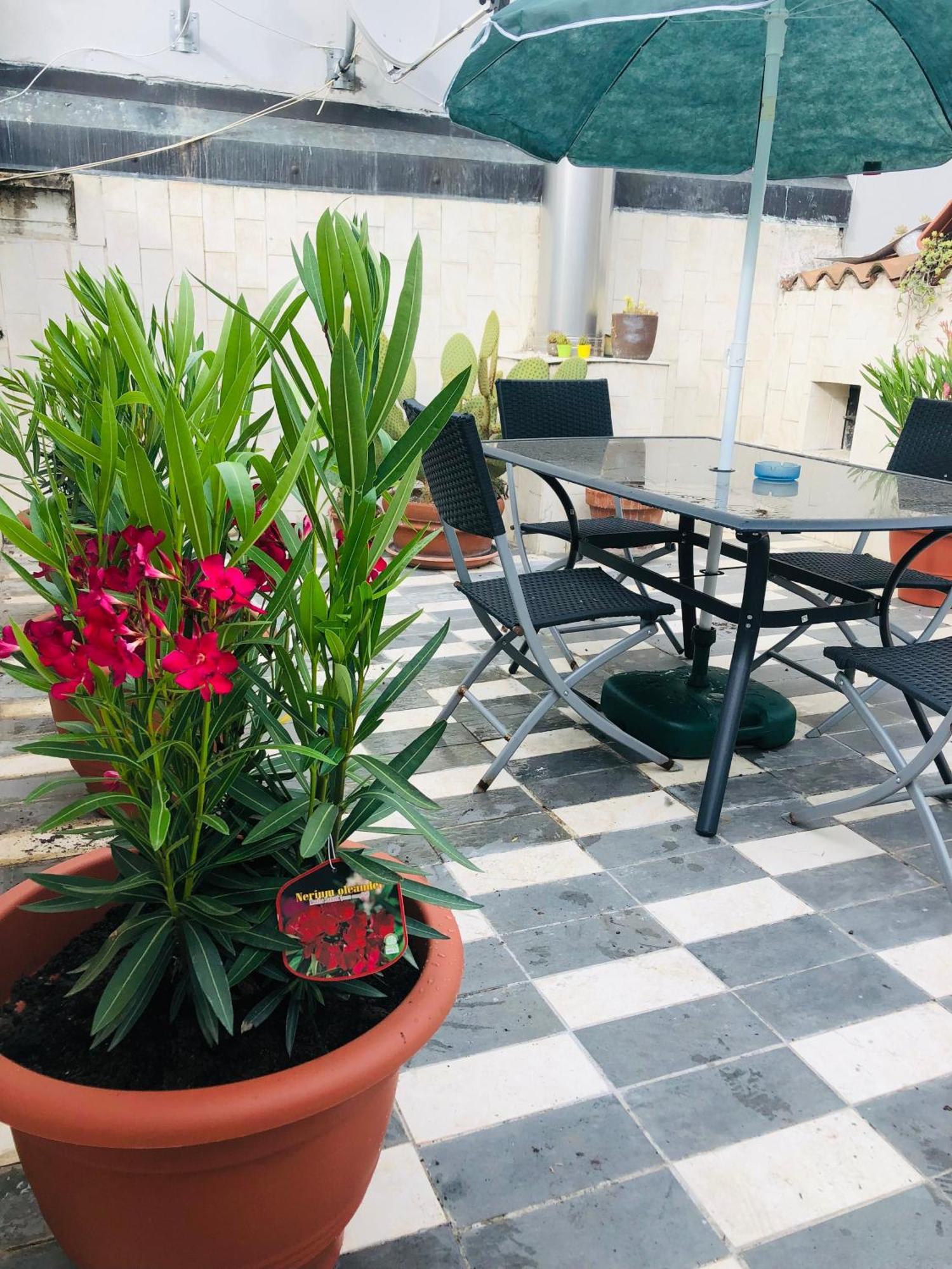 La Terrazza Di Aida Apartamento *