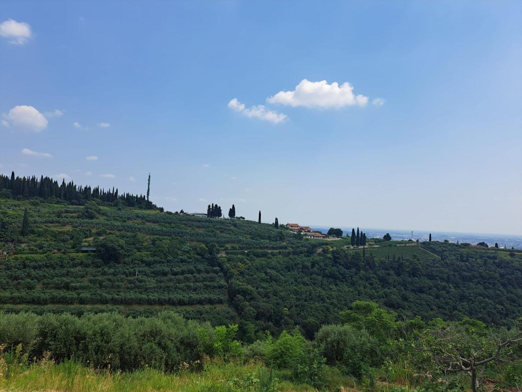 Agroturismo La Vineria Di San Mattia *