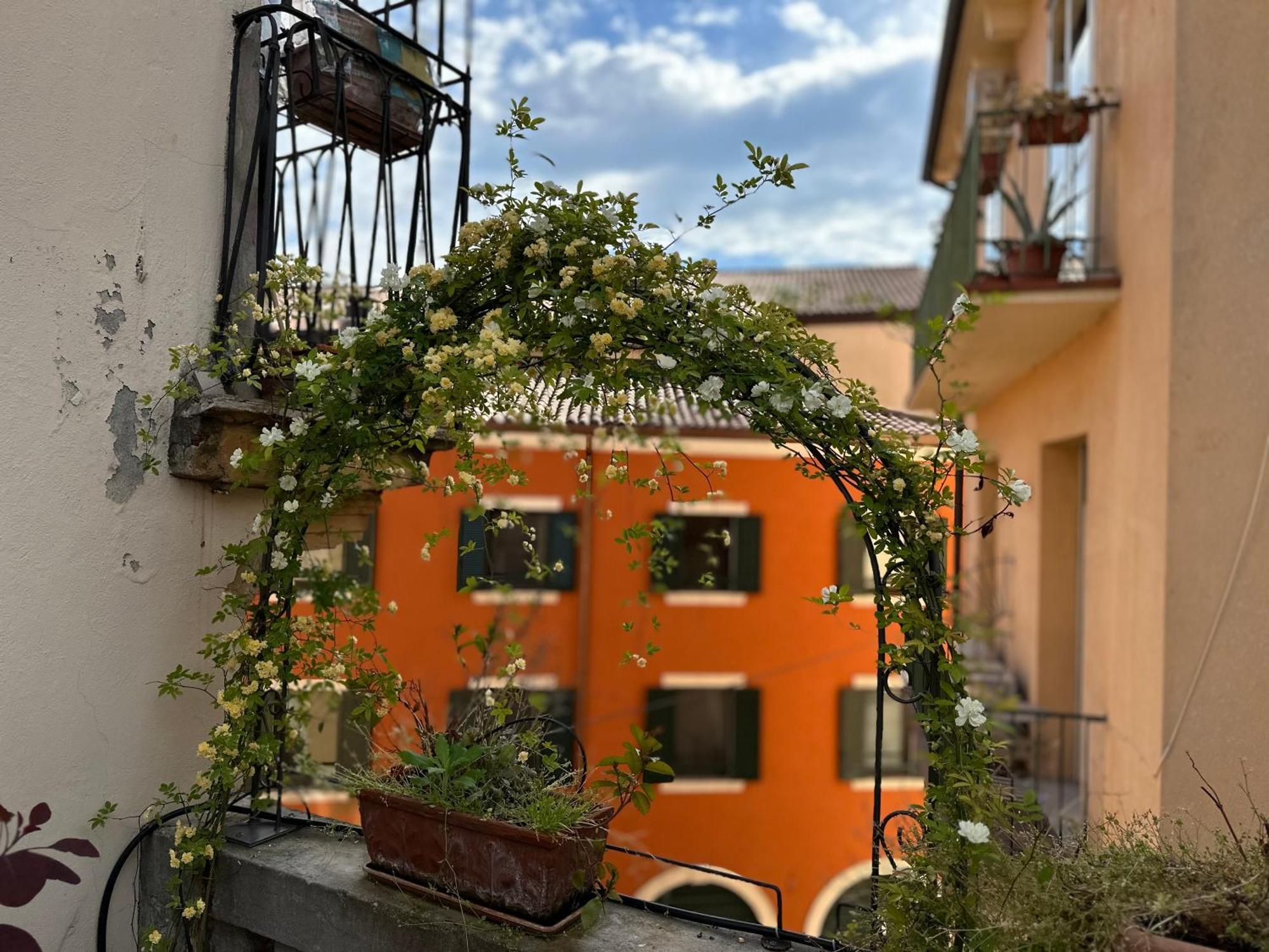 Il Nido Di Emma A *