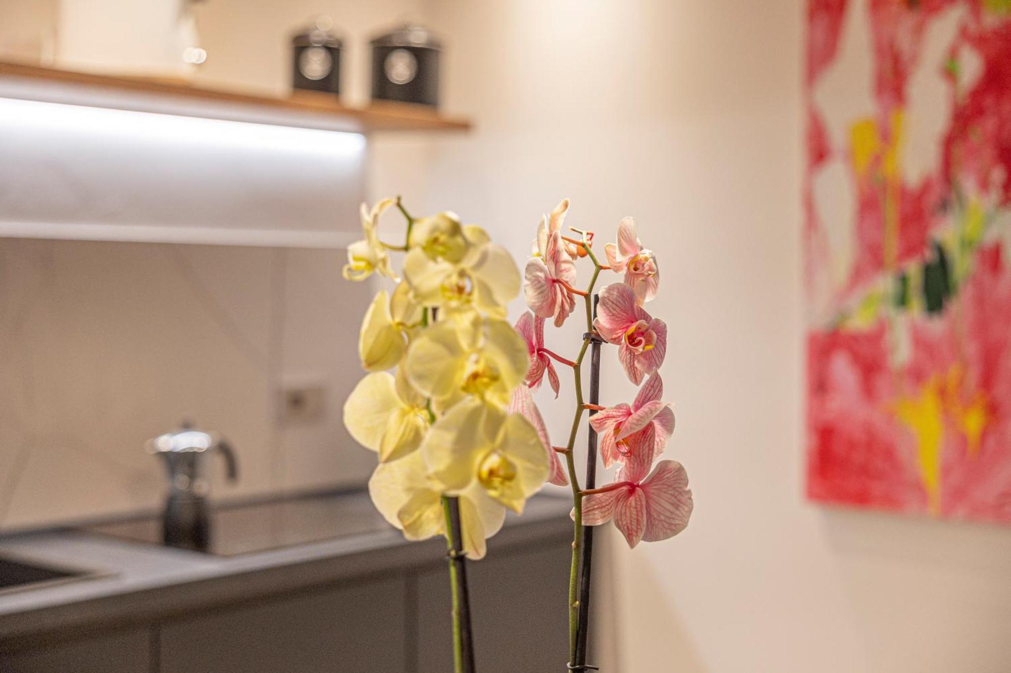 Apartment The Bright Nest *