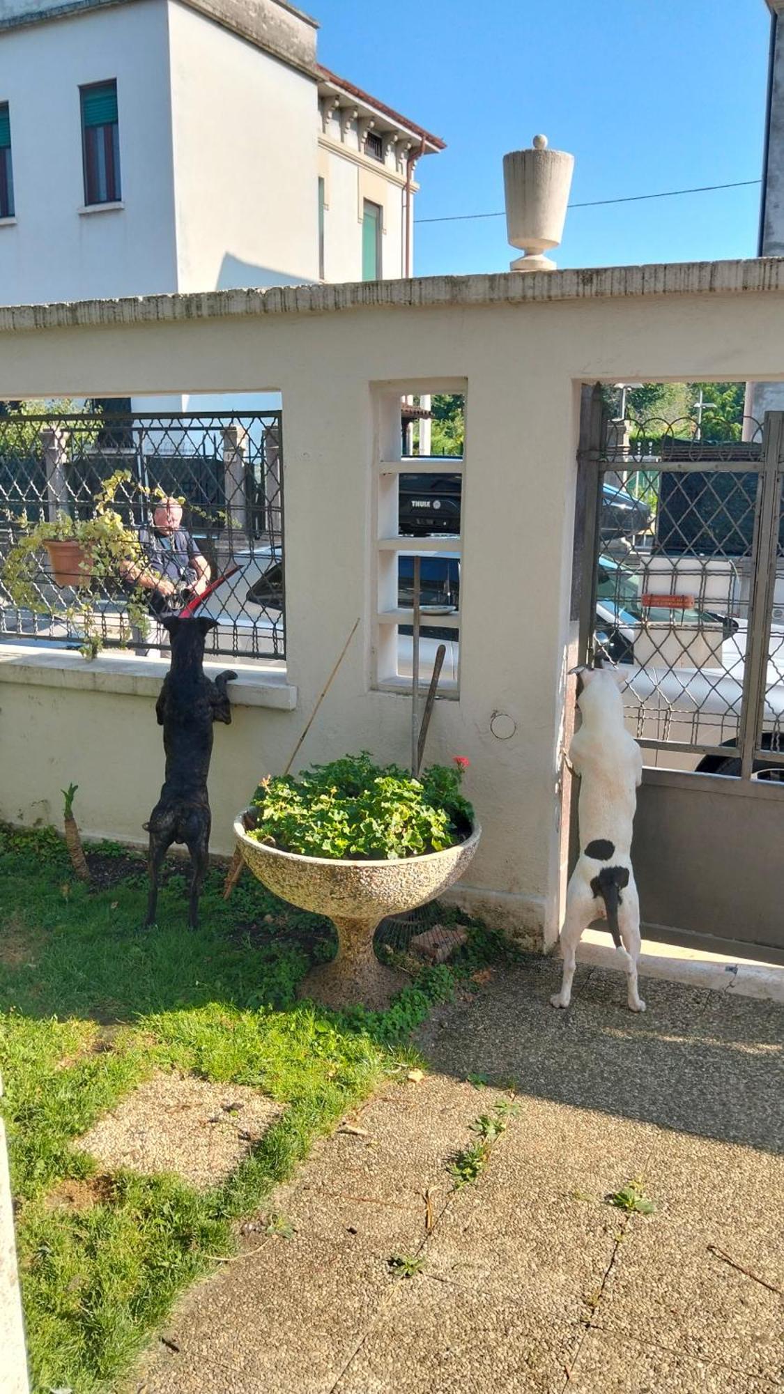 Mavipagi Apartment