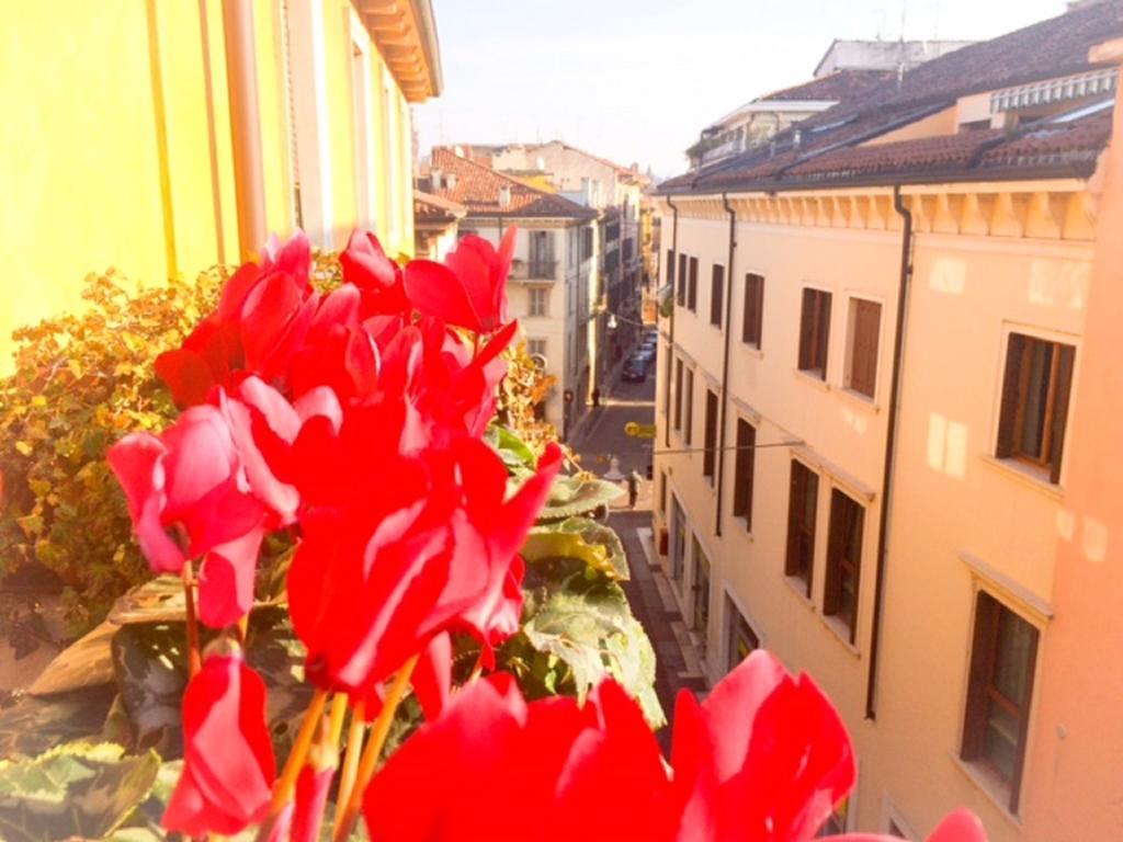 Guest house Fedua Centro Verona
