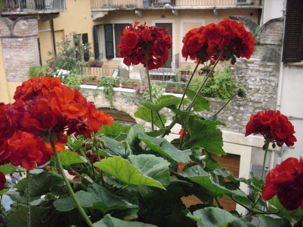 Guest house A Casa Di Luca