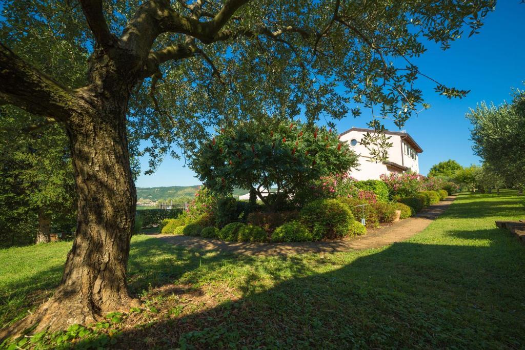 Alloggio per agriturismo Casa Rosa Verona
