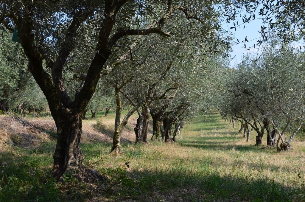 Bosco Magico Alloggio per agriturismo *