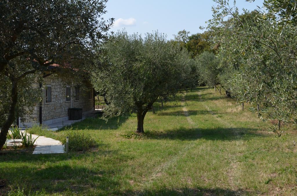 Bosco Magico Alloggio per agriturismo *