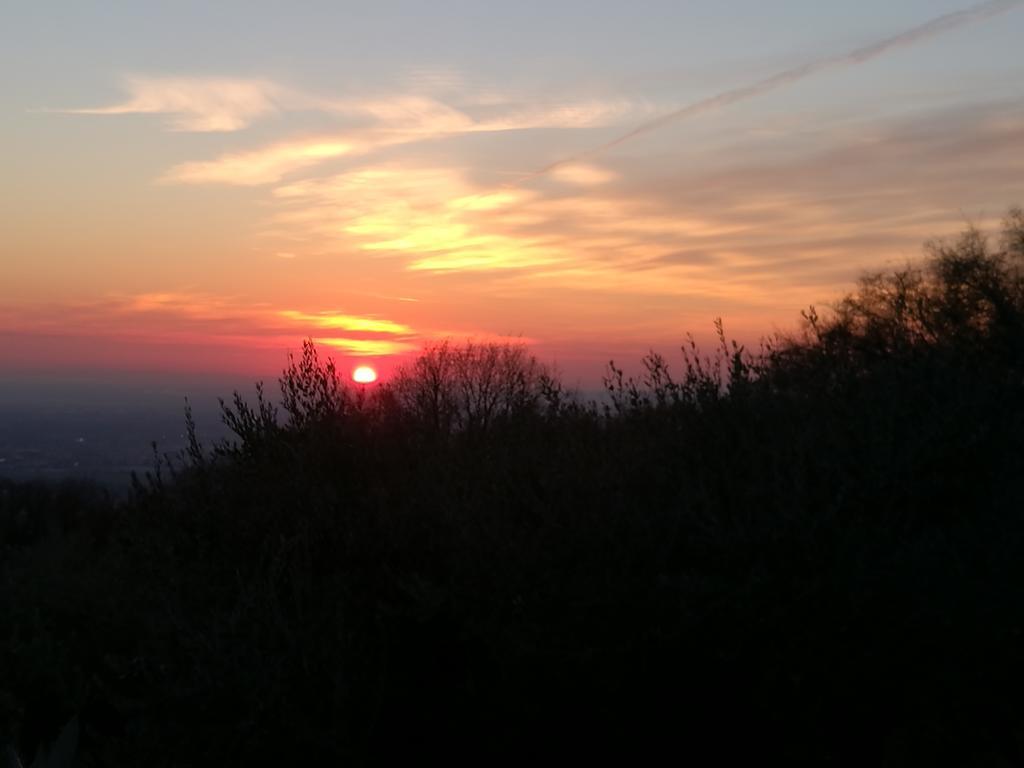 Bosco Magico * Verona