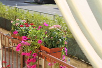 Delle Rose Rooms Casa de hóspedes