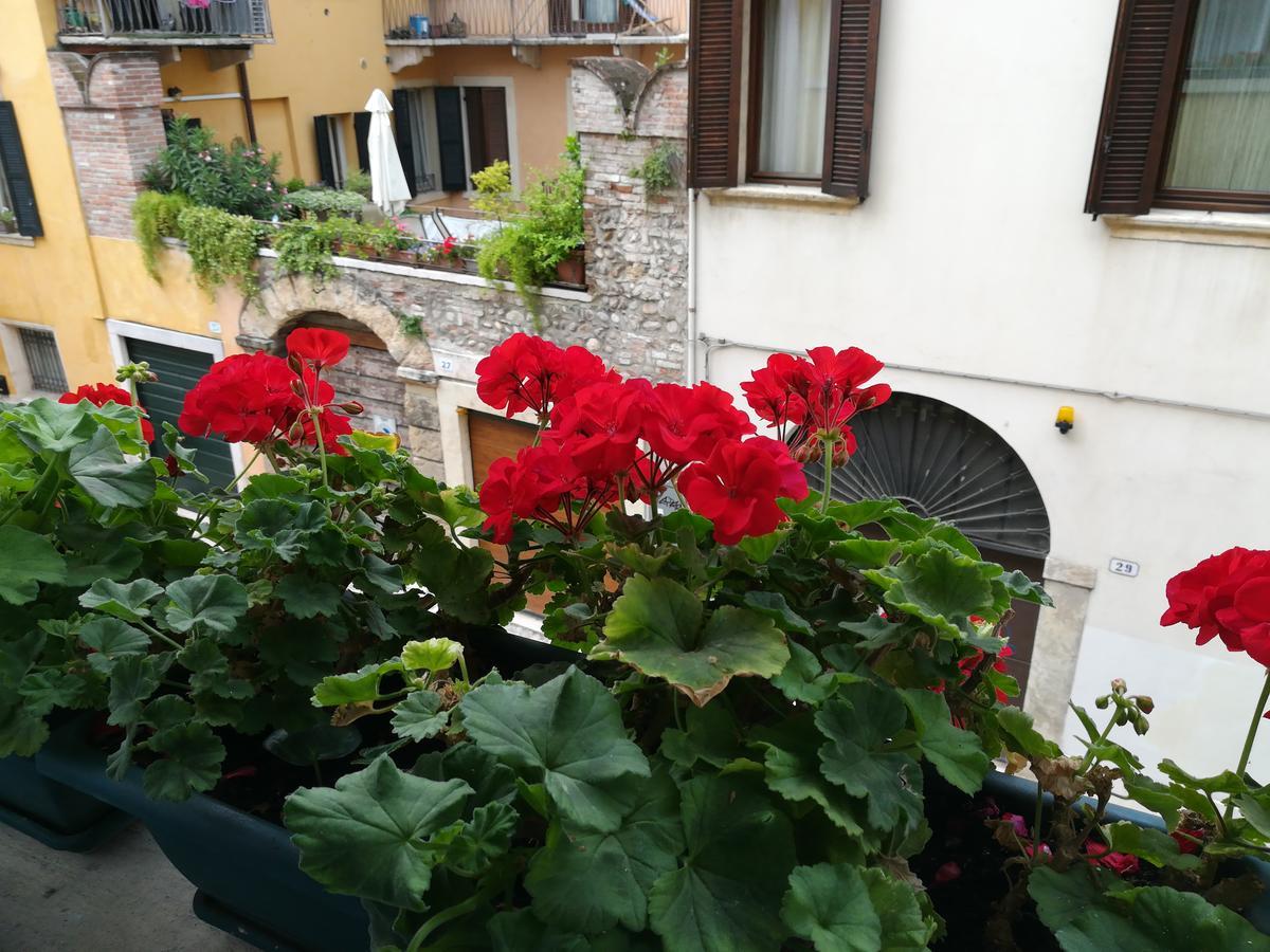 Guest house A Casa Di Luca Verona