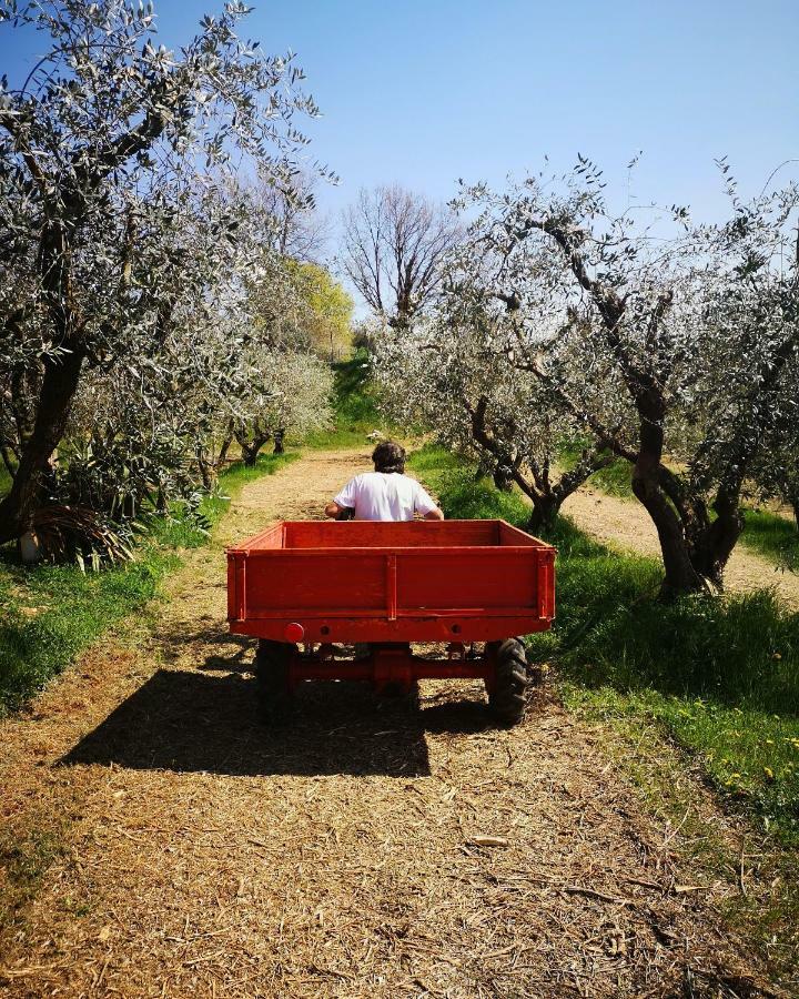 Bosco Magico Alloggio per agriturismo *