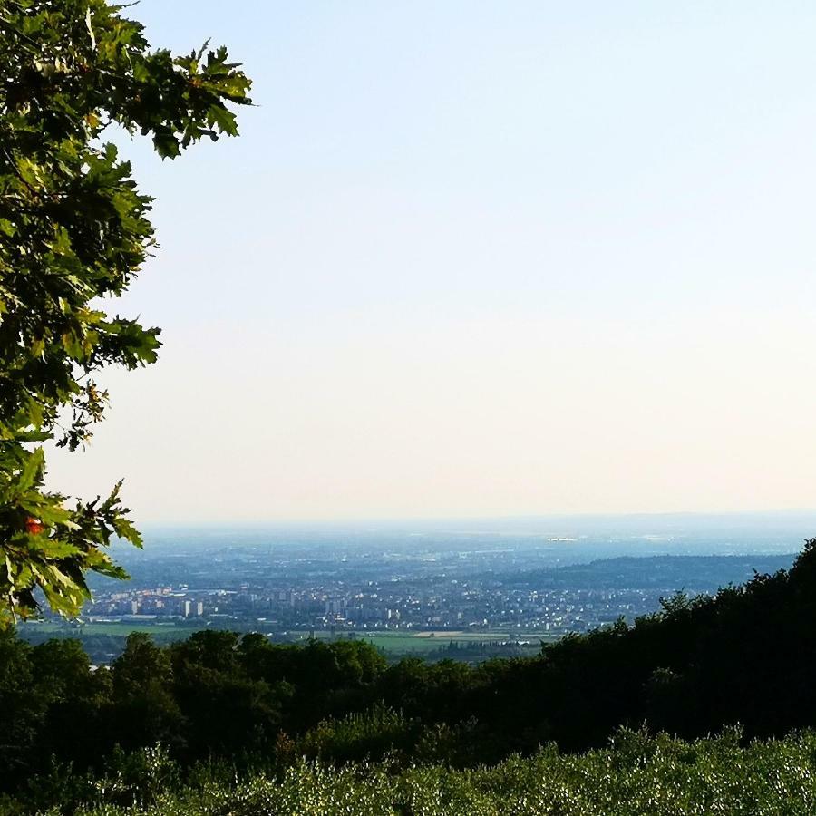 Bosco Magico Alloggio per agriturismo Verona