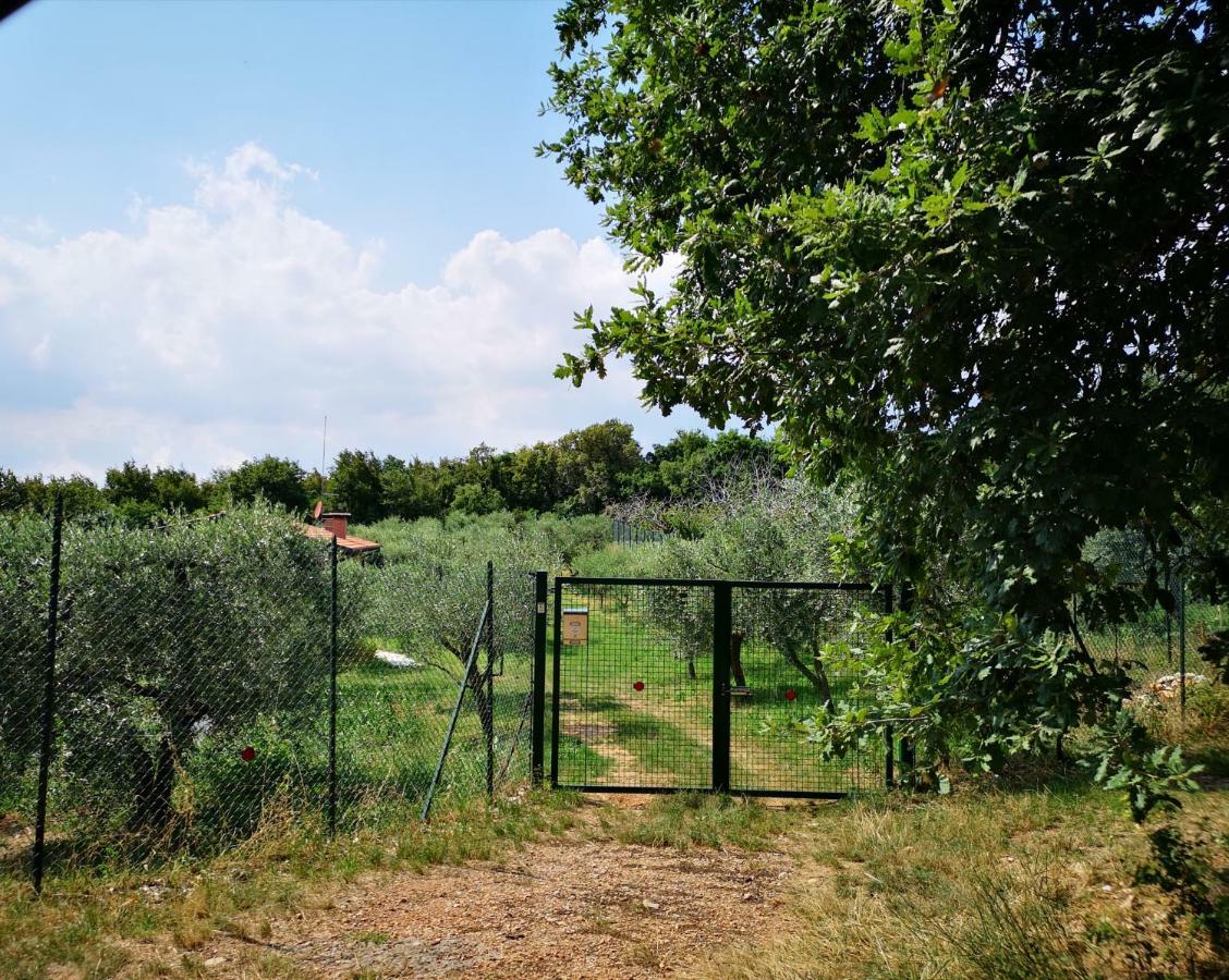 Bosco Magico