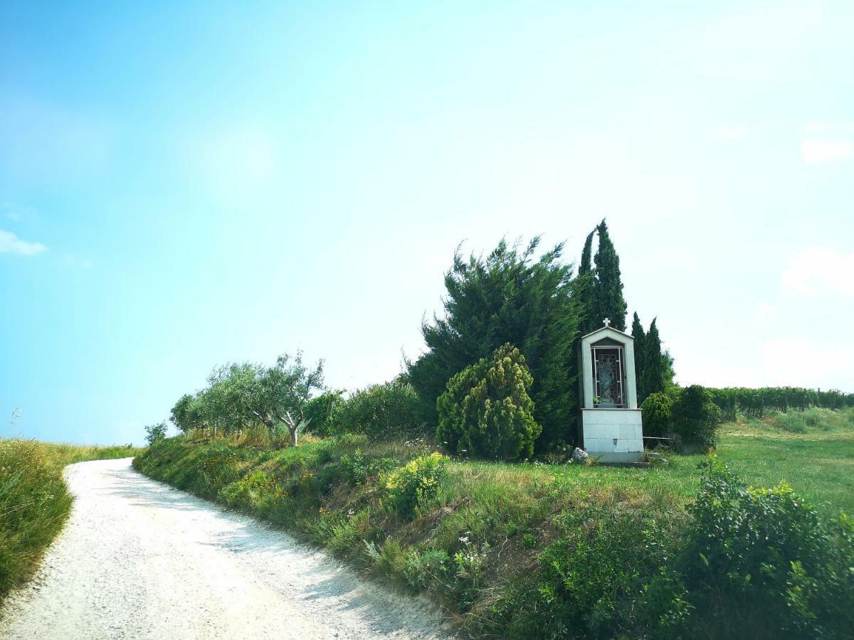 Bosco Magico