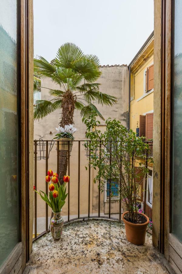 Casa Mama Pensión *