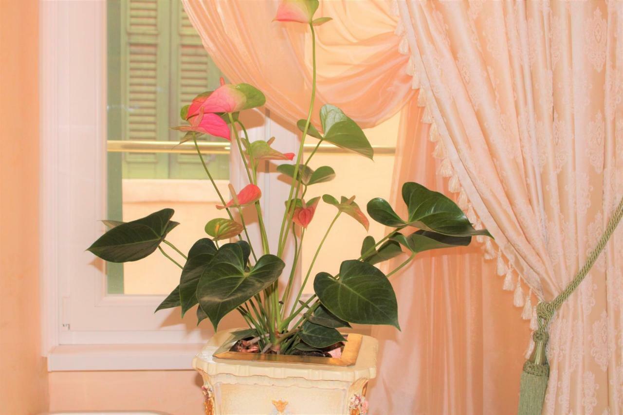 Fiore D'arancio Luxury Center Appartamento *