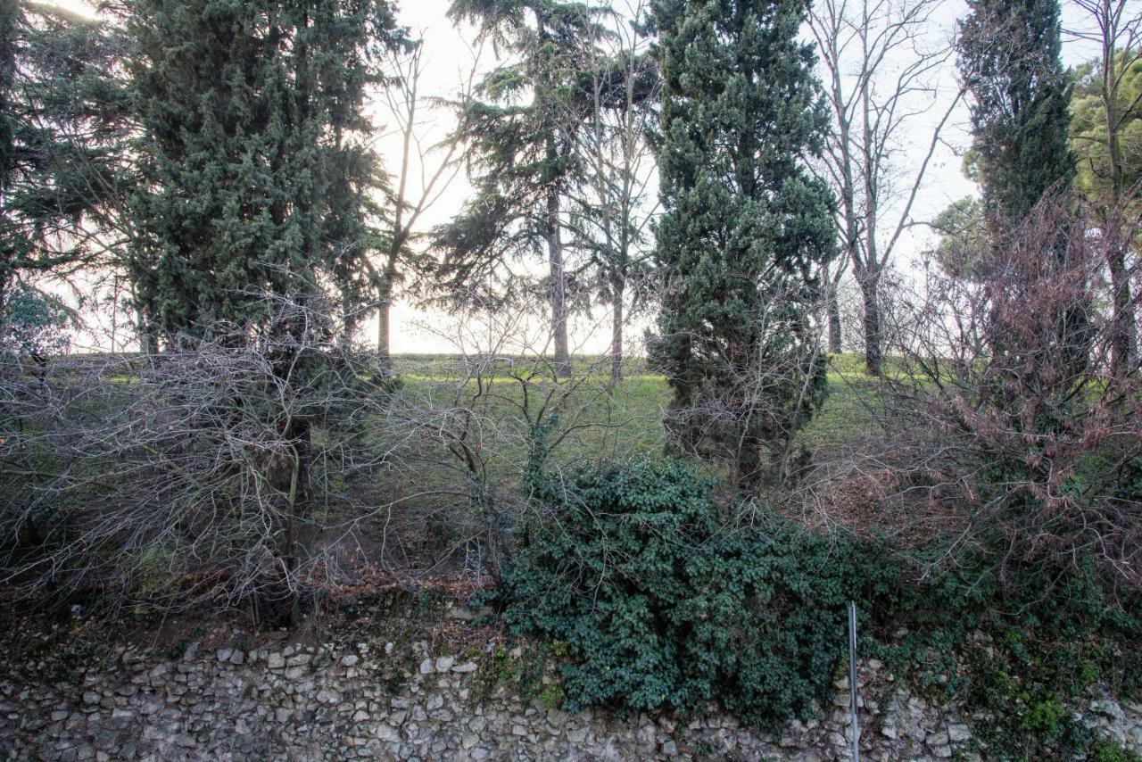 Gabrielli & - Maroncelli * Vérone