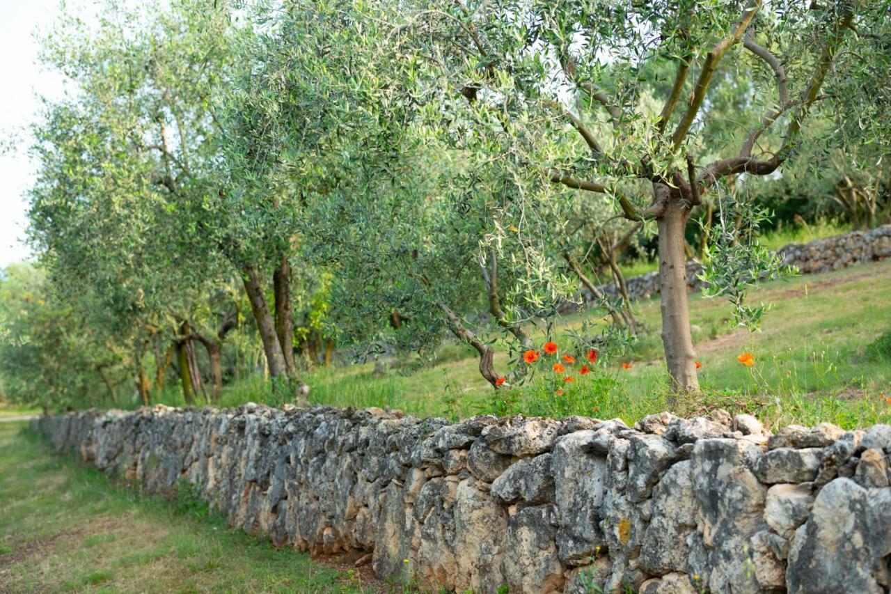 Sommavalle * Verona