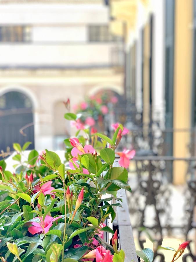 Bue Nero Affittacamere Verona
