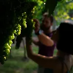 Agriturismo Ai Dossi