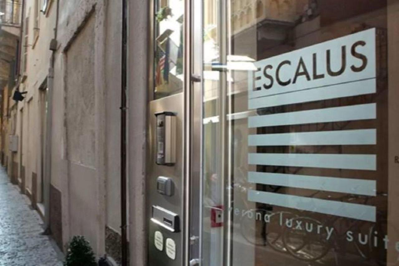 Escalus Luxury 4*