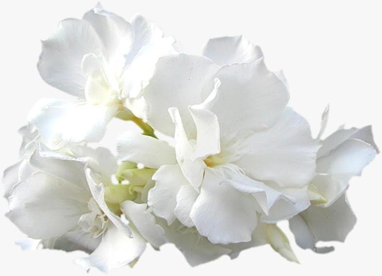 Calla, Calluna&gardenia Appartamento