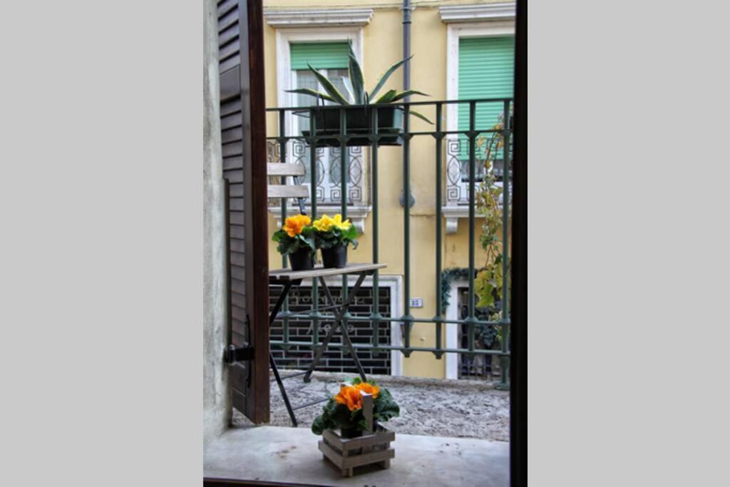 Apartment Casa Caterina