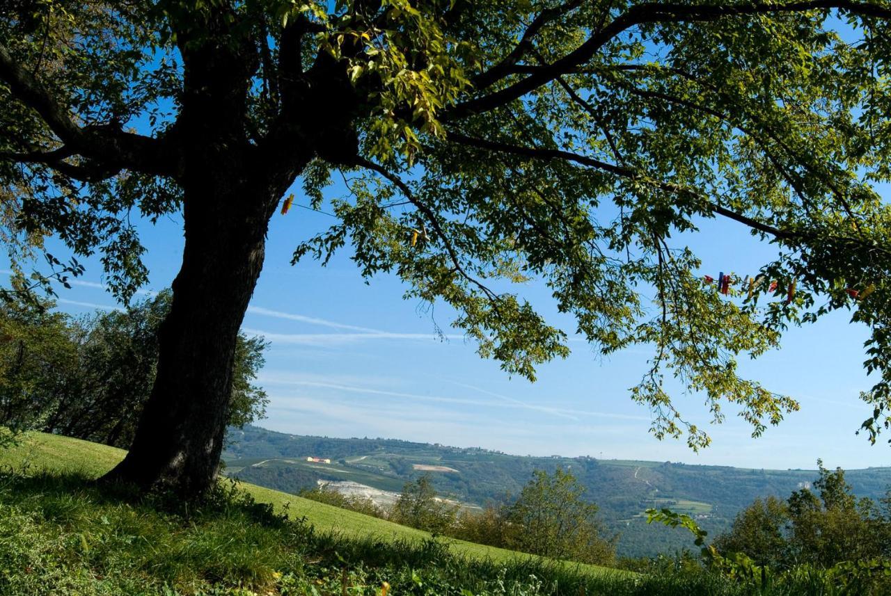 Agroturismo Tenuta Delo Relais