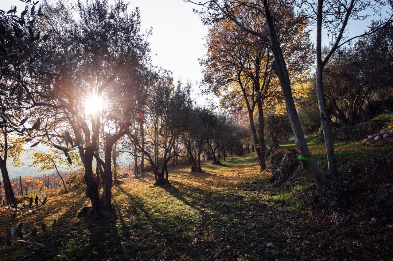 Tenuta Delo Relais Agroturismo *