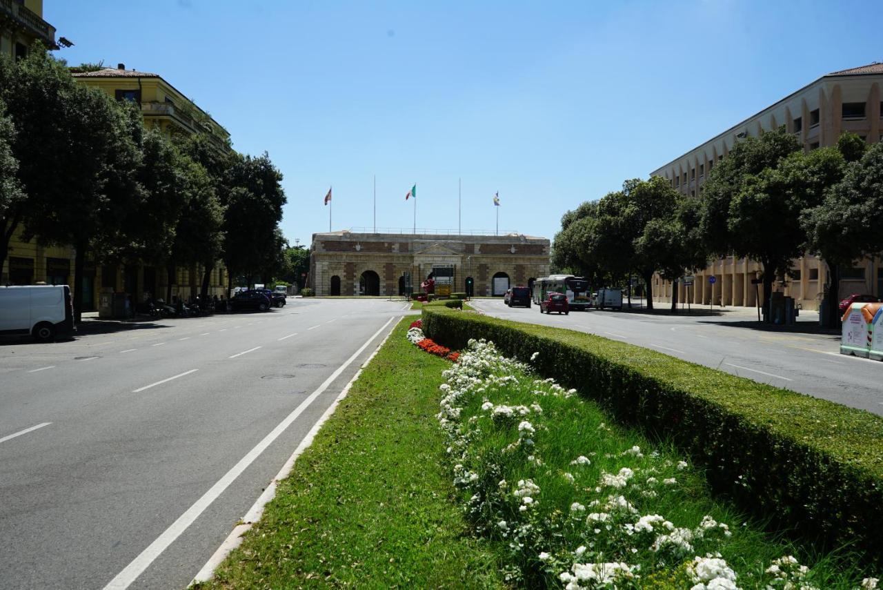 Affittacamere Avenue
